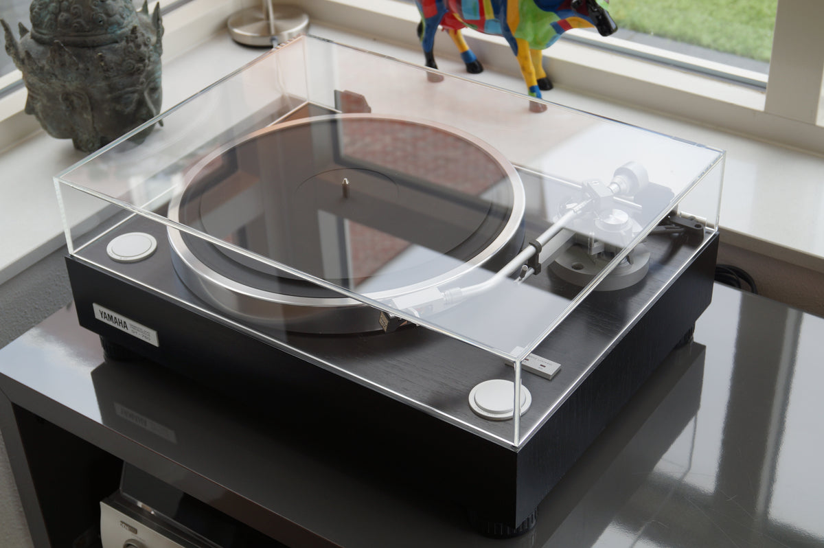 DSC08490_1200x.jpg?v=1655819160